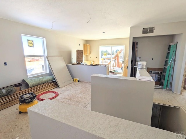 kitchen featuring a wealth of natural light