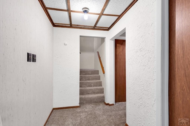 stairs with a textured wall and carpet floors