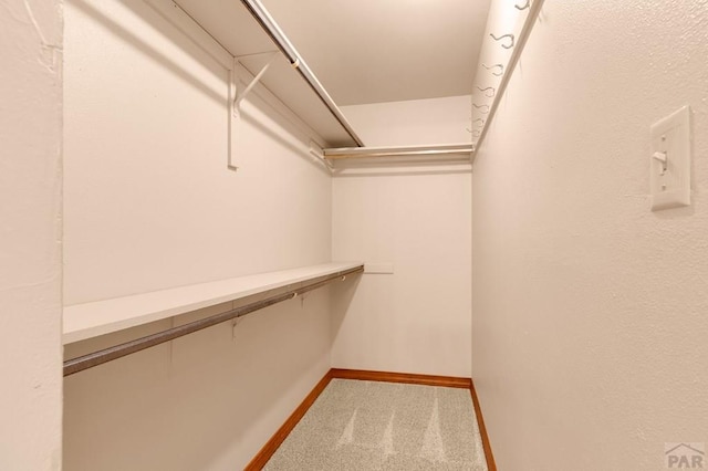 walk in closet with carpet flooring