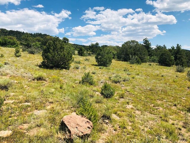 LOT15 Rosebush Rd, Canon City, CO 81212 - photo 5