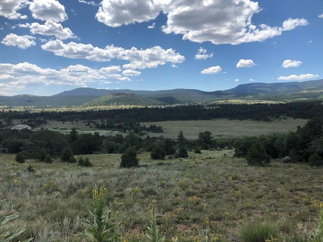 LOT15 Rosebush Rd, Canon City, CO 81212 - photo 7