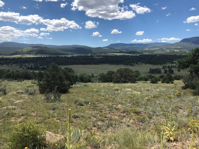 LOT15 Rosebush Rd, Canon City, CO 81212 - photo 6