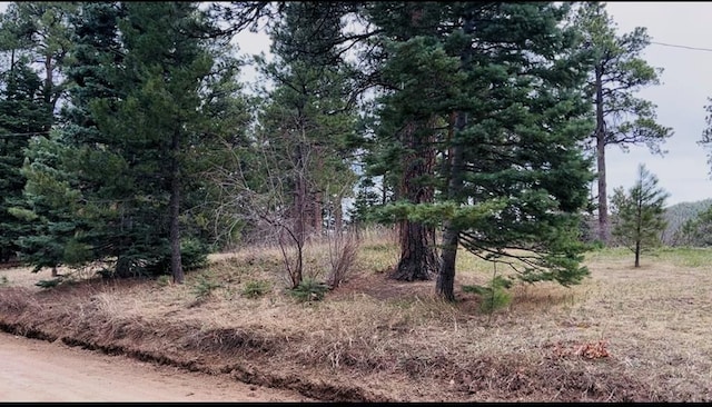 8888 Zorn Rd, Rye, CO 81069 - view of landscape
