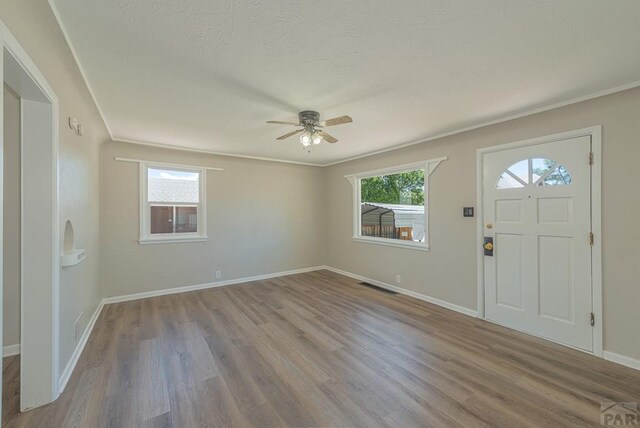 foyer entrance with light wood-style floors, baseboards, visible vents, and a wealth of natural light