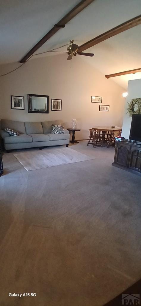 80 SW Portero Dr, Pueblo, CO 81005 - photo 12