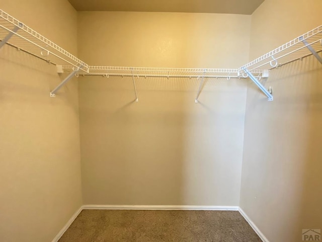 1808 Kingfisher Ln, Pueblo, CO 81008 - photo 20