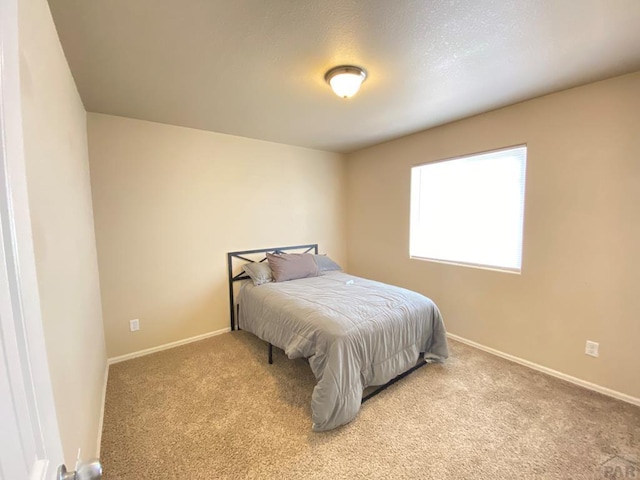 1808 Kingfisher Ln, Pueblo, CO 81008 - photo 16