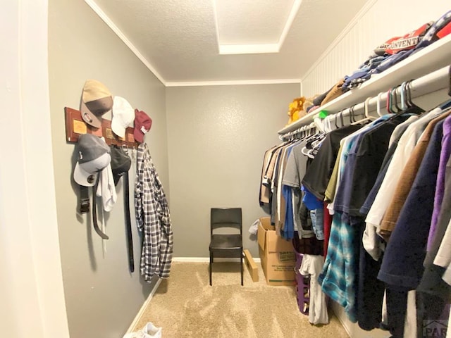 1808 Kingfisher Ln, Pueblo, CO 81008 - photo 13