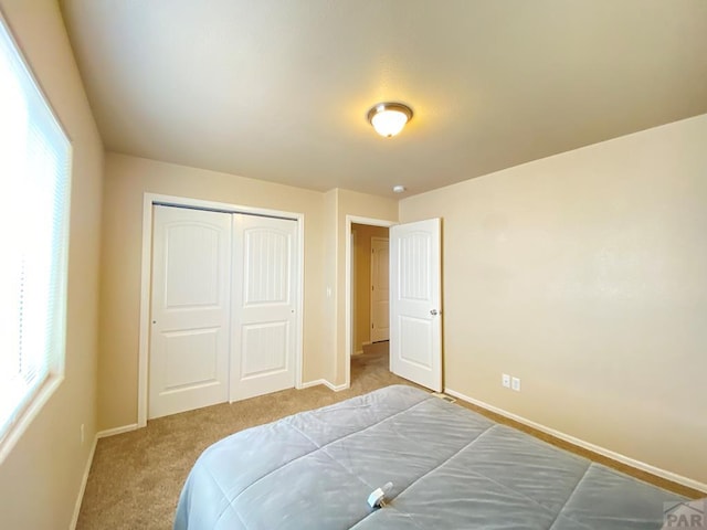 1808 Kingfisher Ln, Pueblo, CO 81008 - photo 17