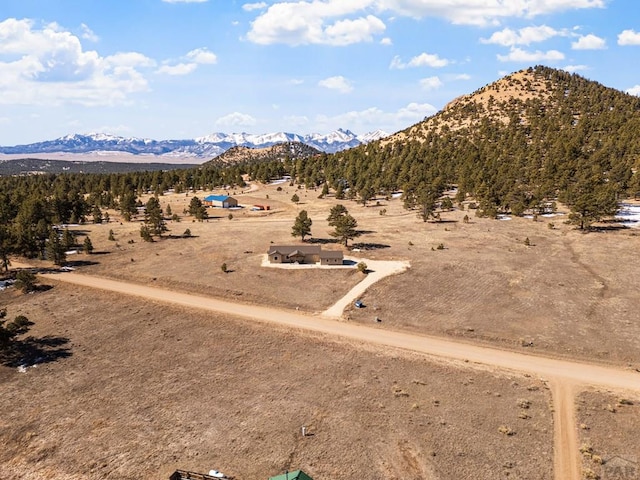 1401 Larkspur Ln, Westcliffe, CO 81252 - mountain view featuring a rural view