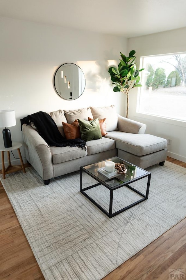 living room featuring wood finished floors