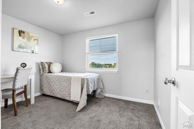 2054 W Locoweed Dr, Pueblo, CO 81007 - photo 14