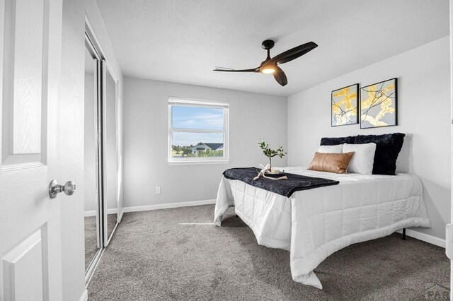 2054 W Locoweed Dr, Pueblo, CO 81007 - photo 11