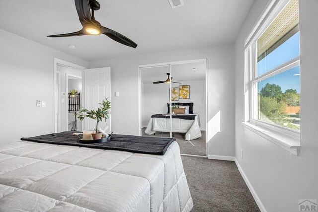 2054 W Locoweed Dr, Pueblo, CO 81007 - photo 12