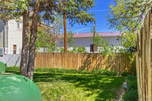 319 S Main St, La Veta, CO 81055 - view of yard