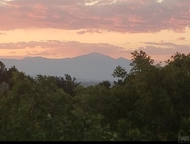 mountain view with a forest view
