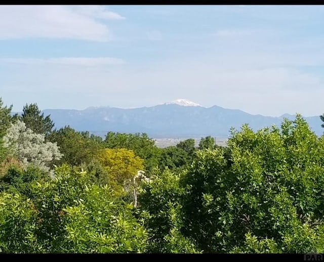mountain view featuring a forest view