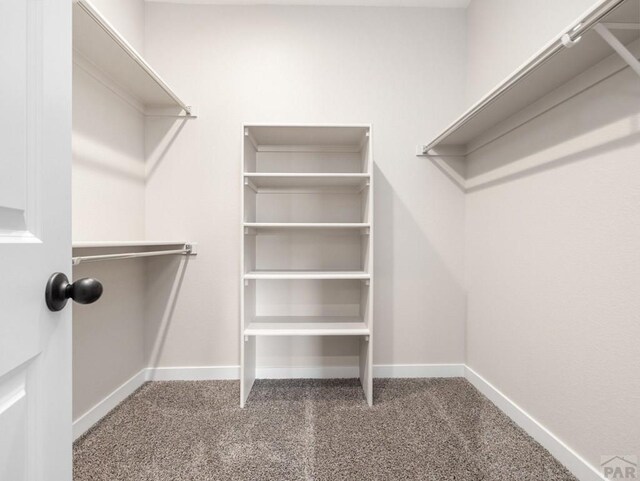 576 E Earl Dr, Pueblo West, CO 81007 - photo 19