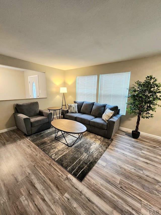 living room with a textured ceiling, wood finished floors, and baseboards