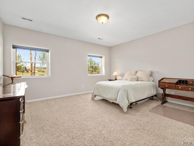 348 S Tejon Ln, Pueblo West, CO 81007 - carpeted bedroom with baseboards