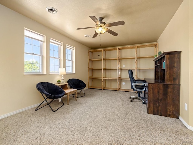 348 S Tejon Ln, Pueblo West, CO 81007 - office featuring carpet floors and a ceiling fan