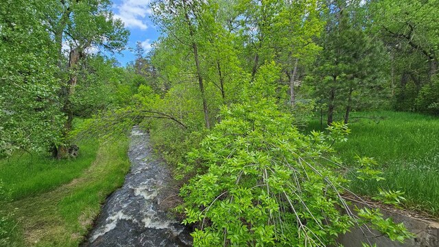 8988 Central Ave, Beulah, CO 81023 - photo 6
