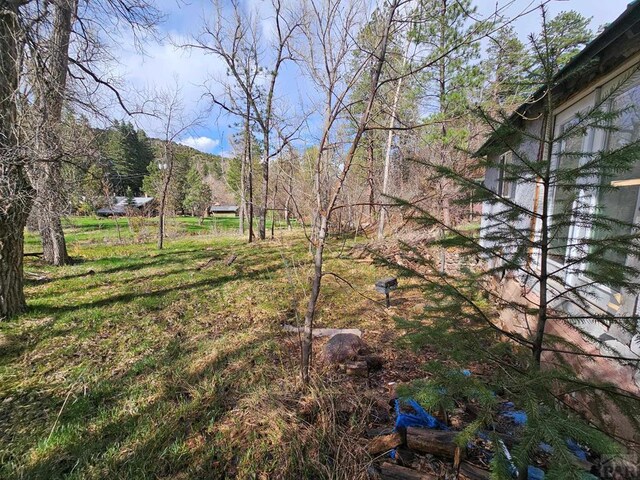 8988 Central Ave, Beulah, CO 81023 - photo 45