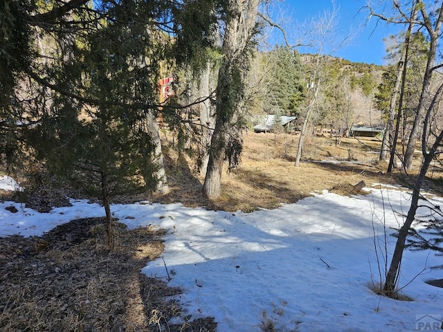 8988 Central Ave, Beulah, CO 81023 - photo 34