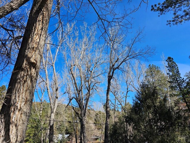 8988 Central Ave, Beulah, CO 81023 - photo 29