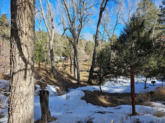 8988 Central Ave, Beulah, CO 81023 - photo 28