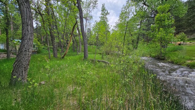 8988 Central Ave, Beulah, CO 81023 - photo 11