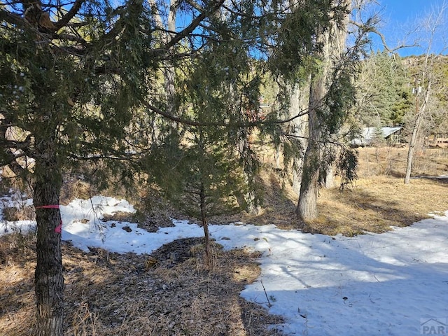 8988 Central Ave, Beulah, CO 81023 - photo 36