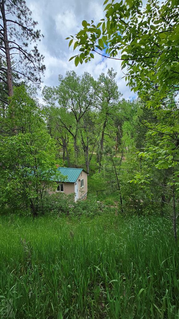 8988 Central Ave, Beulah, CO 81023 - photo 74