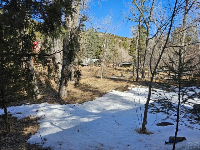 8988 Central Ave, Beulah, CO 81023 - photo 35