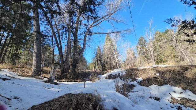 8988 Central Ave, Beulah, CO 81023 - photo 41