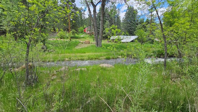 8988 Central Ave, Beulah, CO 81023 - photo 13