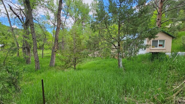 8988 Central Ave, Beulah, CO 81023 - photo 37