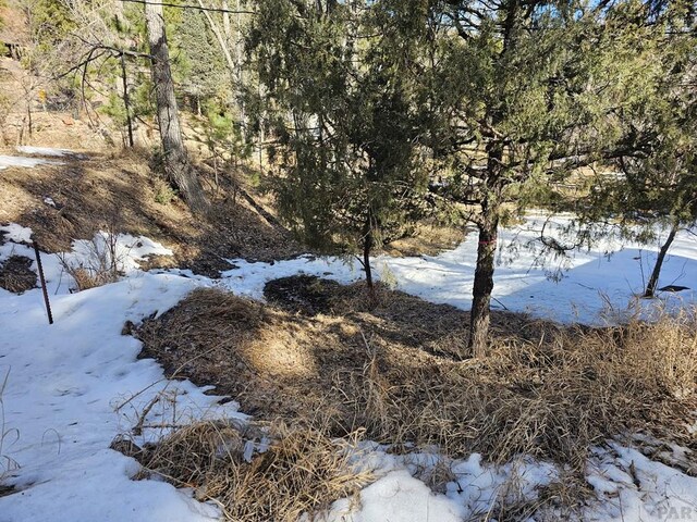 8988 Central Ave, Beulah, CO 81023 - photo 30