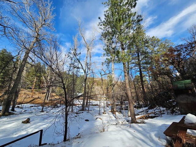 8988 Central Ave, Beulah, CO 81023 - photo 71