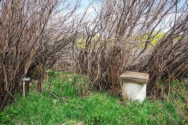 view of nature