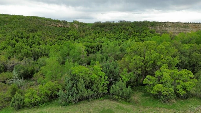 1930 Beverly Dr, Colorado City, CO 81019 - photo 9