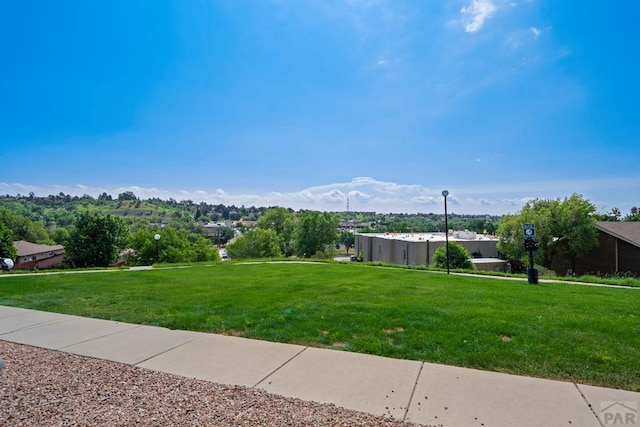 1447 Madison Ridge Hts Unit E, Colorado Springs, CO 80904 - view of grassy yard