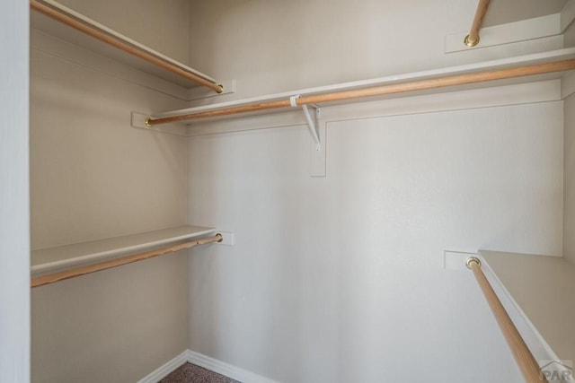 1447 Madison Ridge Hts Unit E, Colorado Springs, CO 80904 - view of walk in closet