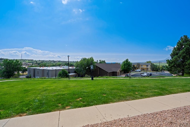 1447 Madison Ridge Hts Unit E, Colorado Springs, CO 80904 - view of grassy yard