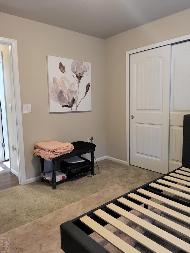 interior space featuring carpet floors, baseboards, and a closet