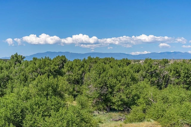 property view of mountains featuring a wooded view