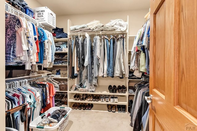 spacious closet featuring carpet floors