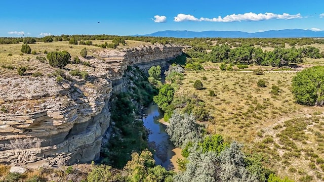 birds eye view of property with a mountain view