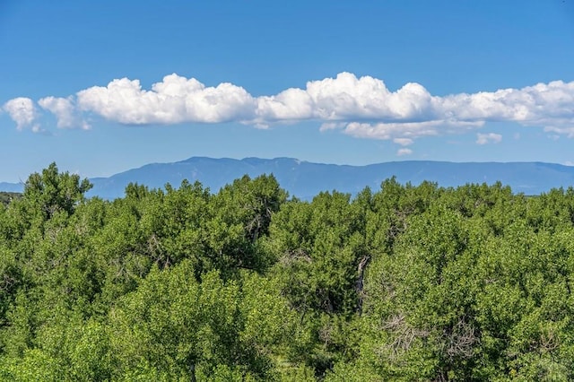 view of mountain feature with a wooded view