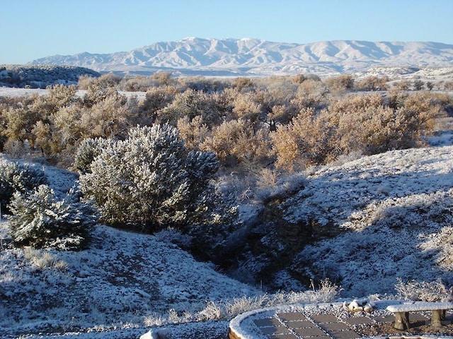 property view of mountains